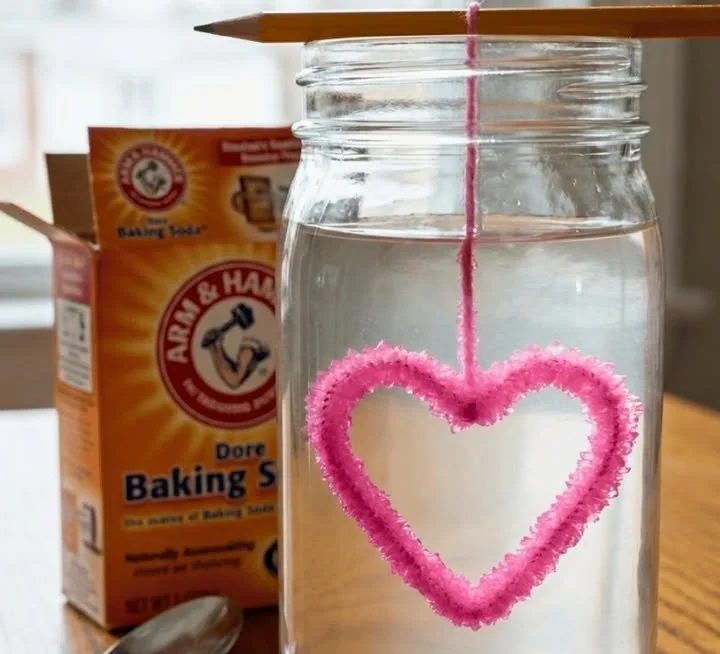 Baking Soda Crystal Heart Growth