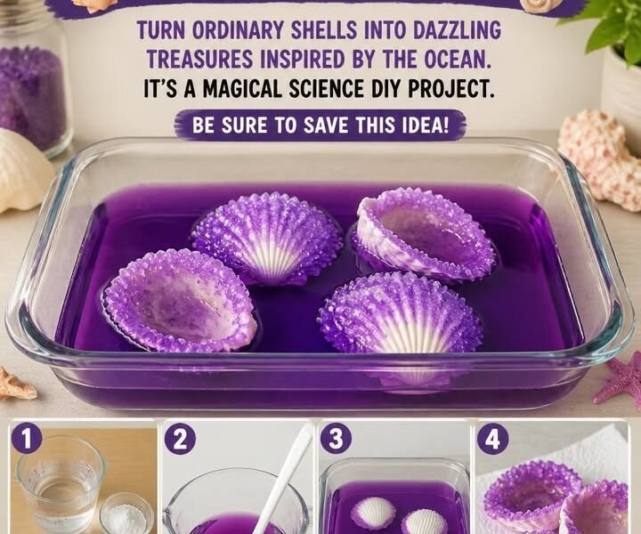 Crystal Seashells Transform Into Ocean Treasures